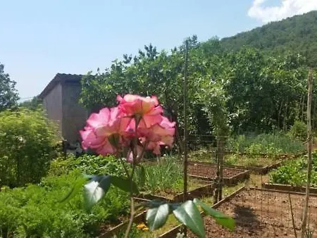 Fuer 5 Personen Ca, 90 M Sup2 In Opatija Pobri, Kvarner Bucht Gespanschaft Primorje Gorski Apartman